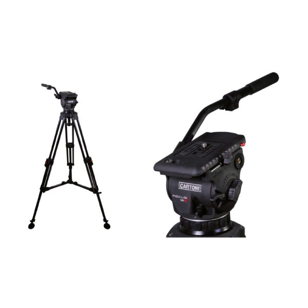 Cartoni Gambe corte T724/B